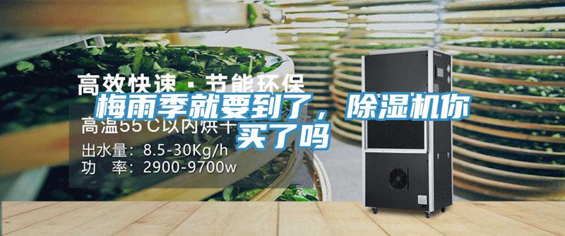 梅雨季就要到了，泡芙短视频APP官方下载地址你买了吗