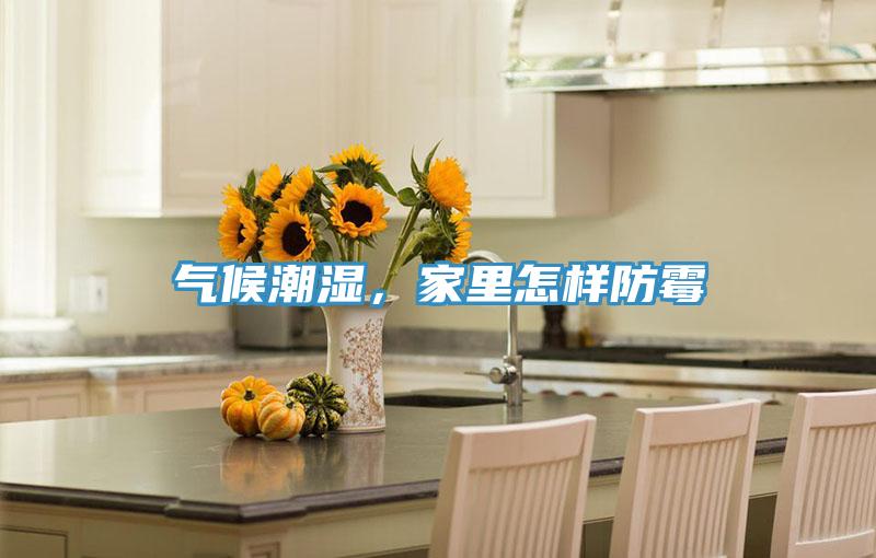 气候潮湿，家里怎样防霉