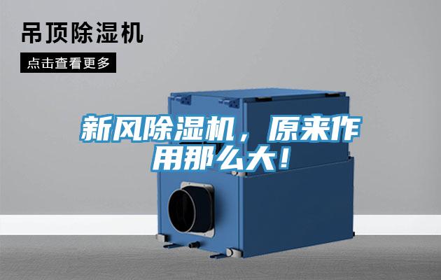 新风泡芙短视频APP官方下载地址，原来作用那么大！