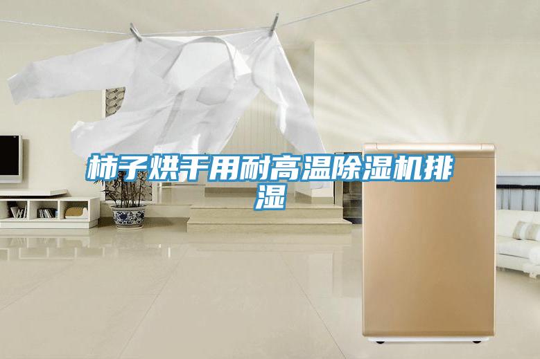 柿子烘干用耐高温泡芙短视频APP官方下载地址排湿