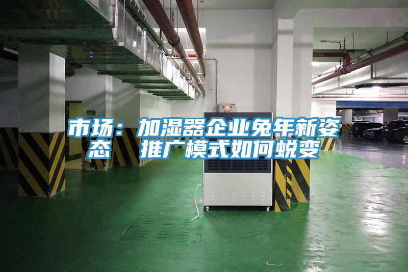 市场：加湿器企业兔年新姿态  推广模式如何蜕变