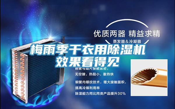 梅雨季干衣用泡芙短视频APP官方下载地址效果看得见