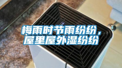 梅雨时节雨纷纷，屋里屋外湿纷纷