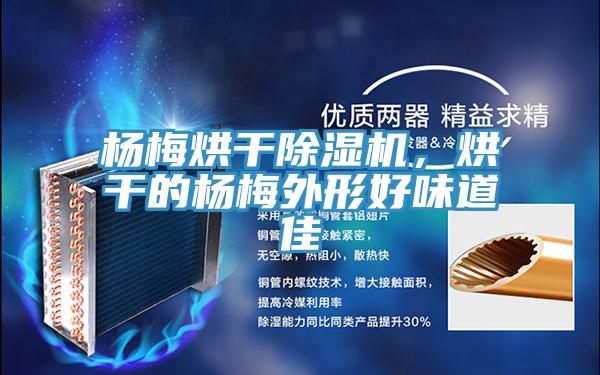 杨梅烘干泡芙短视频APP官方下载地址，烘干的杨梅外形好味道佳