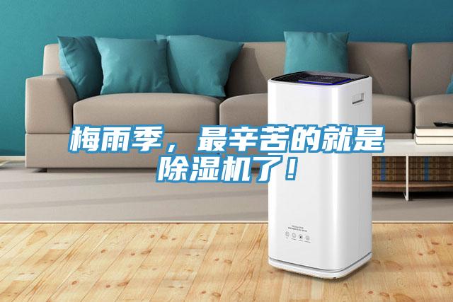 梅雨季，最辛苦的就是泡芙短视频APP官方下载地址了！