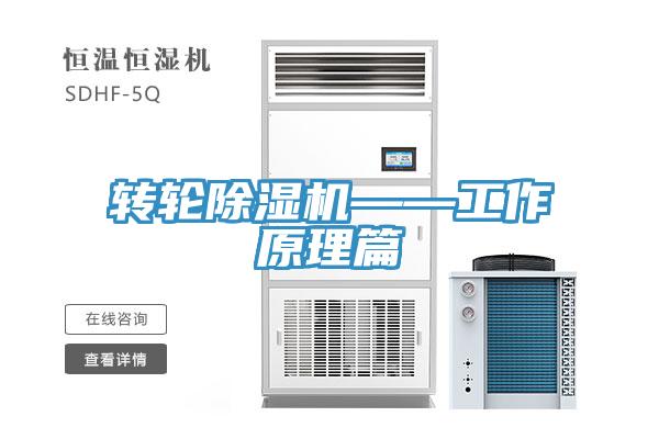 转轮泡芙短视频APP官方下载地址——工作原理篇