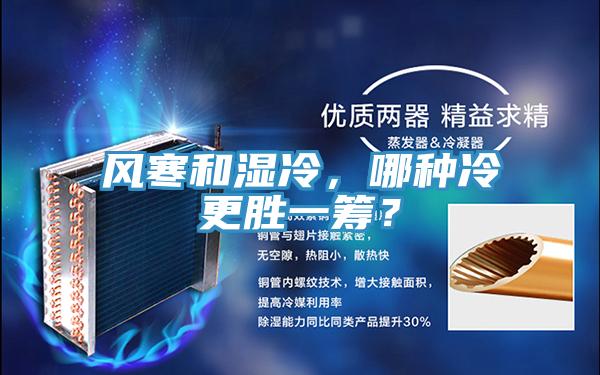 风寒和湿冷，哪种冷更胜一筹？