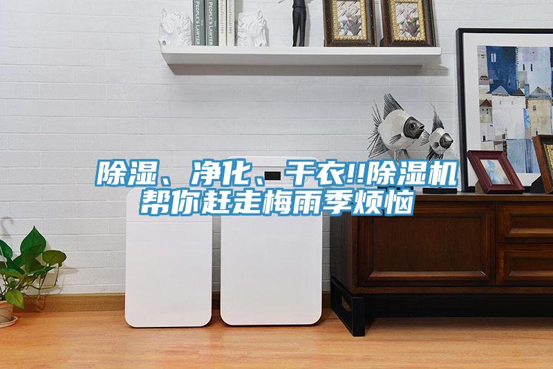 除湿、净化、干衣!!泡芙短视频APP官方下载地址帮你赶走梅雨季烦恼