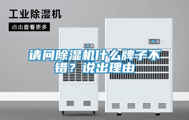 请问泡芙短视频APP官方下载地址什么牌子不错？说出理由