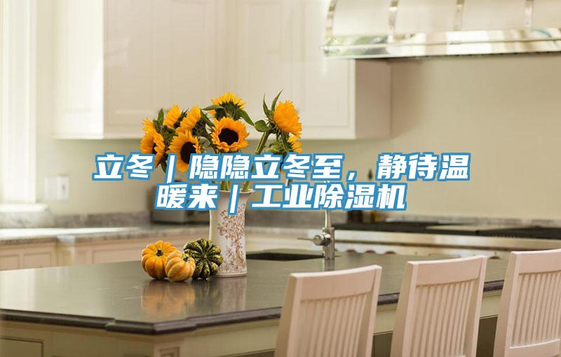 立冬｜隐隐立冬至，静待温暖来｜工业泡芙短视频APP官方下载地址