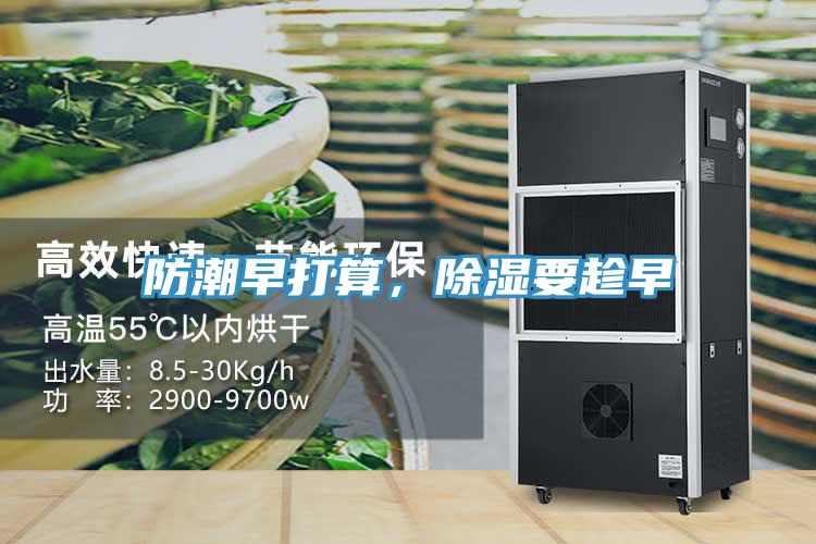 防潮早打算，除湿要趁早