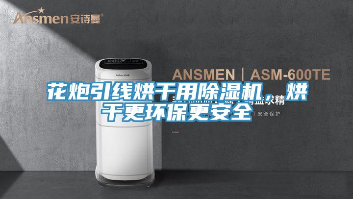 花炮引线烘干用泡芙短视频APP官方下载地址，烘干更环保更安全