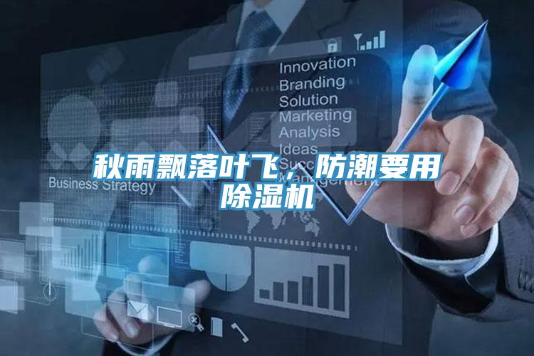 秋雨飘落叶飞，防潮要用泡芙短视频APP官方下载地址