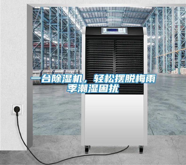 一台泡芙短视频APP官方下载地址，轻松摆脱梅雨季潮湿困扰