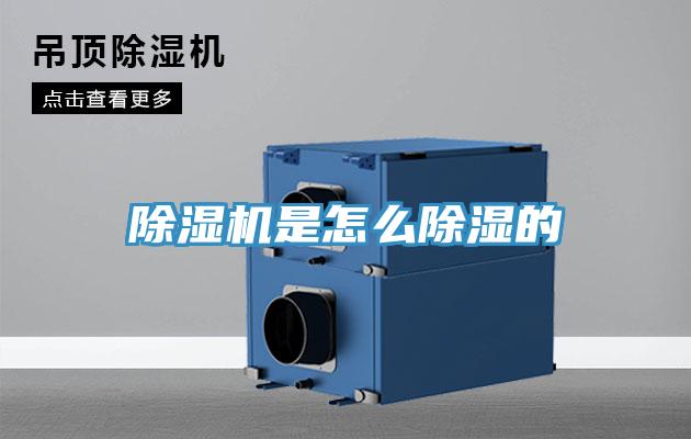 泡芙短视频APP官方下载地址是怎么除湿的