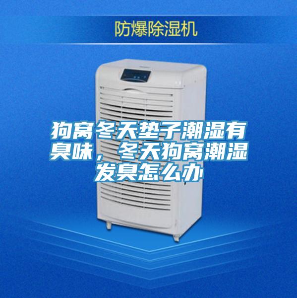 狗窝冬天垫子潮湿有臭味，冬天狗窝潮湿发臭怎么办