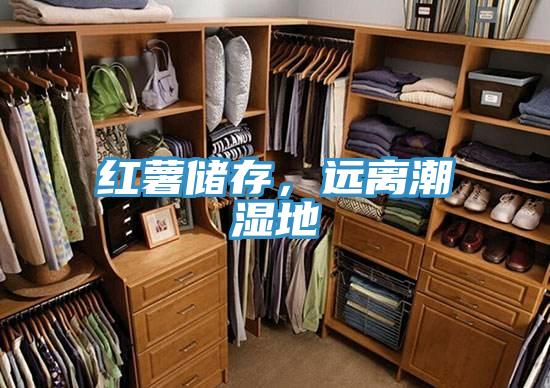 红薯储存，远离潮湿地