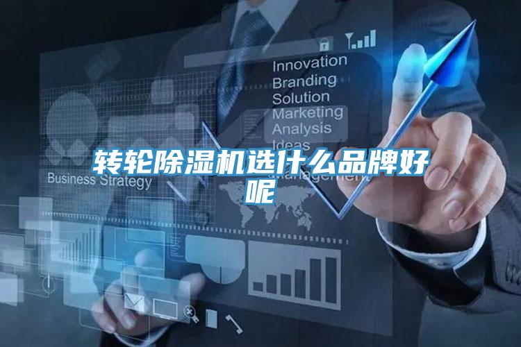 转轮泡芙短视频APP官方下载地址选什么品牌好呢