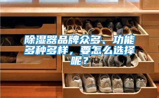 除湿器品牌众多、功能多种多样，要怎么选择呢？