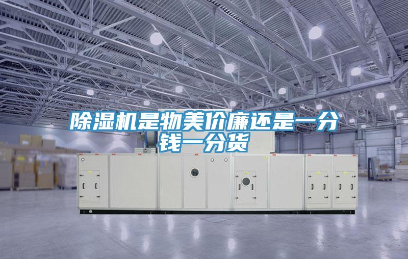 泡芙短视频APP官方下载地址是物美价廉还是一分钱一分货