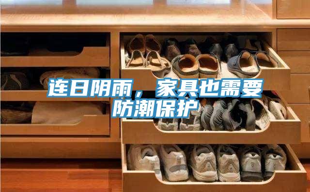 连日阴雨，家具也需要防潮保护
