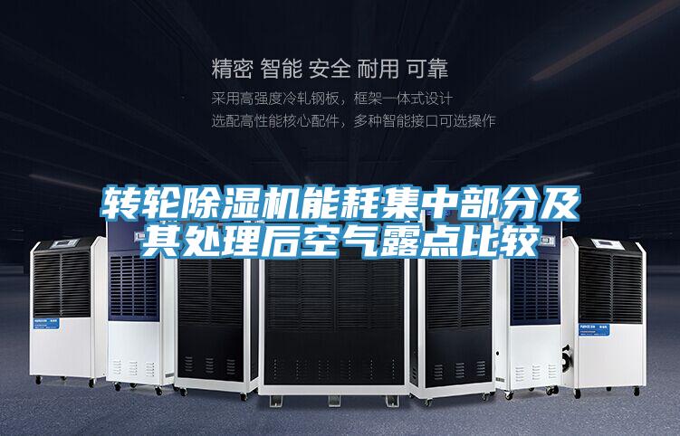 转轮泡芙短视频APP官方下载地址能耗集中部分及其处理后空气露点比较