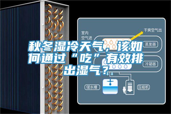 秋冬湿冷天气，该如何通过“吃”有效排出湿气？