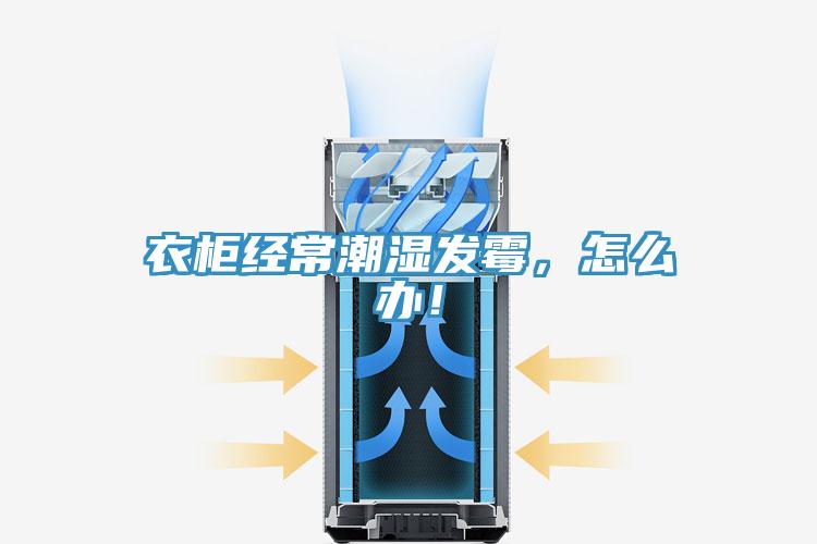 衣柜经常潮湿发霉，怎么办！