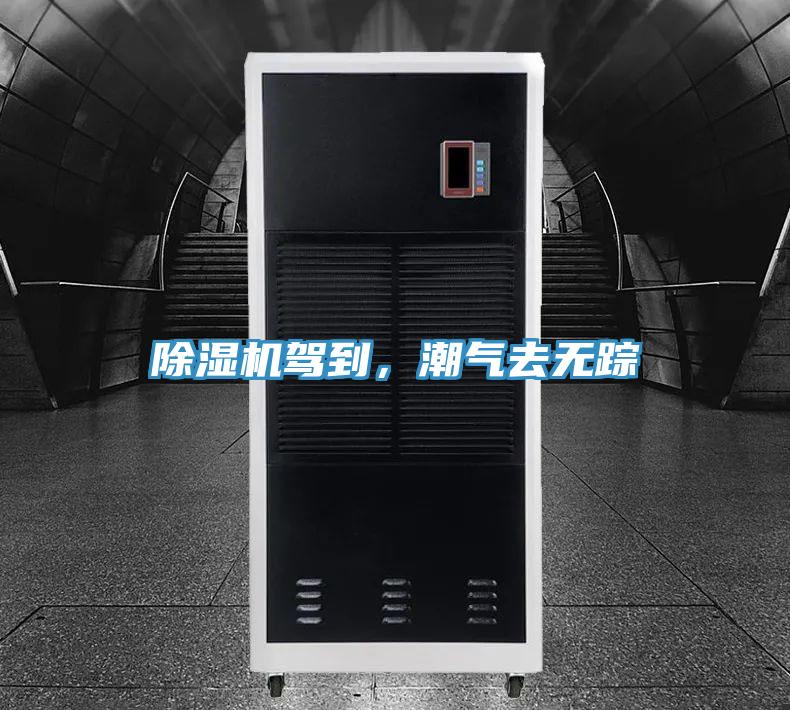 泡芙短视频APP官方下载地址驾到，潮气去无踪