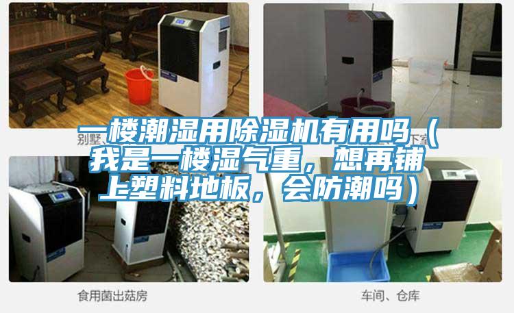 一楼潮湿用泡芙短视频APP官方下载地址有用吗（我是一楼湿气重，想再铺上塑料地板，会防潮吗）