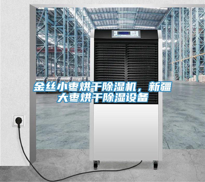 金丝小枣烘干泡芙短视频APP官方下载地址，新疆大枣烘干除湿设备