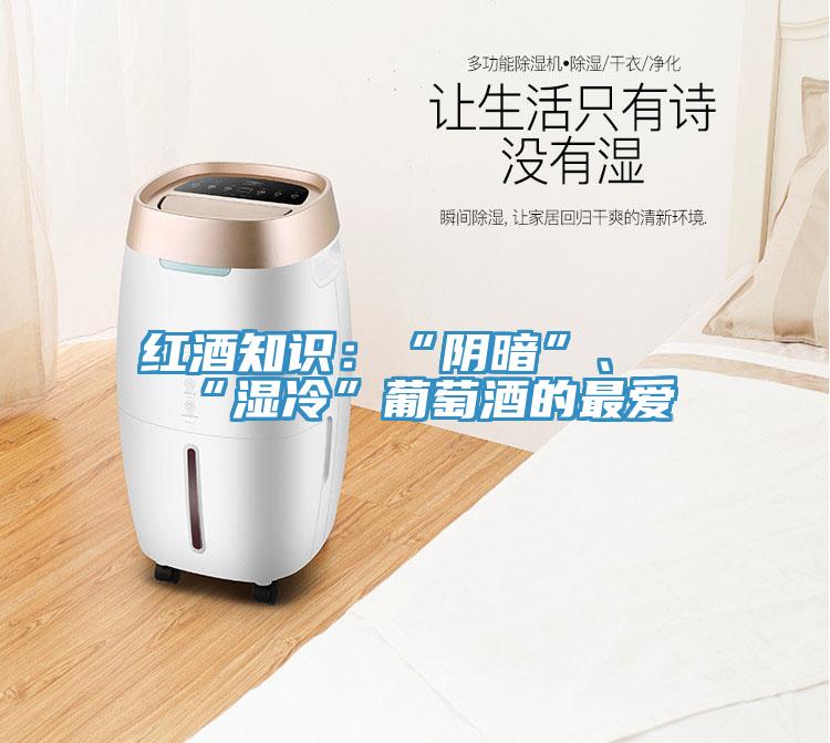 红酒知识：“阴暗”、“湿冷”葡萄酒的最爱