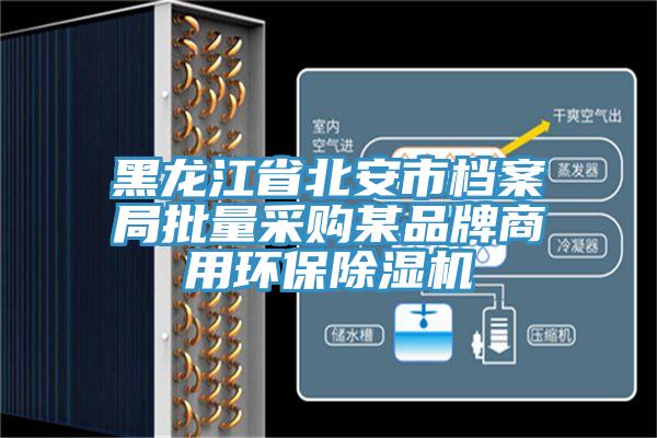 黑龙江省北安市档案局批量采购某品牌商用环保泡芙短视频APP官方下载地址