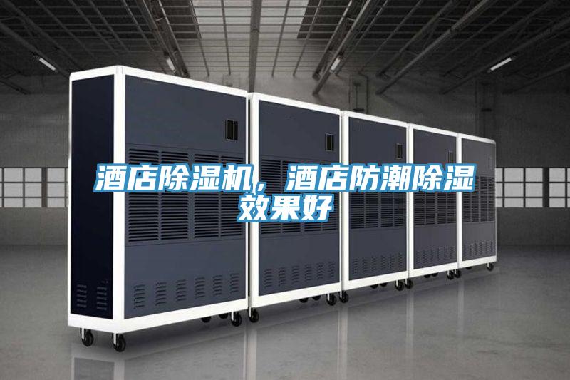 酒店泡芙短视频APP官方下载地址，酒店防潮除湿效果好