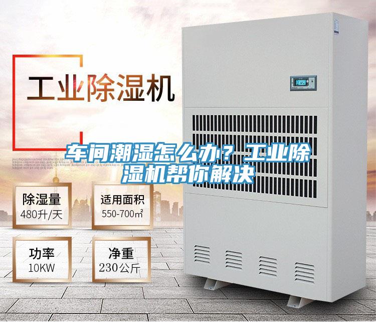 车间潮湿怎么办？工业泡芙短视频APP官方下载地址帮你解决