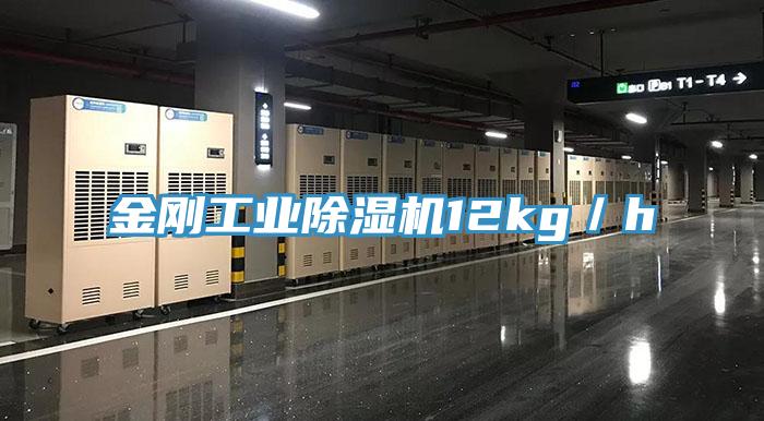 金刚工业泡芙短视频APP官方下载地址12kg／h