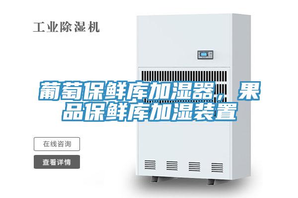 葡萄保鲜库加湿器，果品保鲜库加湿装置