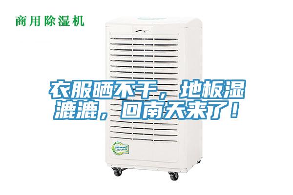 衣服晒不干，地板湿漉漉，回南天来了！