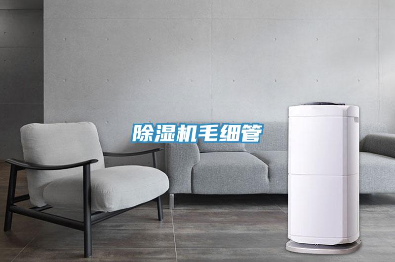 泡芙短视频APP官方下载地址毛细管