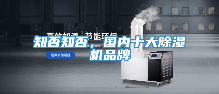 知否知否，国内十大泡芙短视频APP官方下载地址品牌