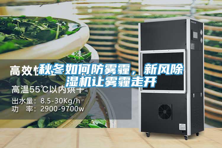 秋冬如何防雾霾，新风泡芙短视频APP官方下载地址让雾霾走开