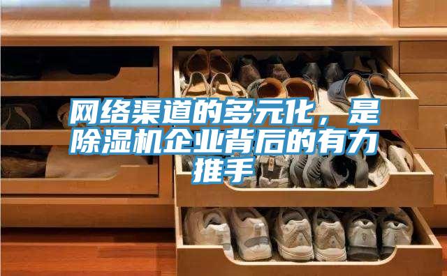 网络渠道的多元化，是泡芙短视频APP官方下载地址企业背后的有力推手