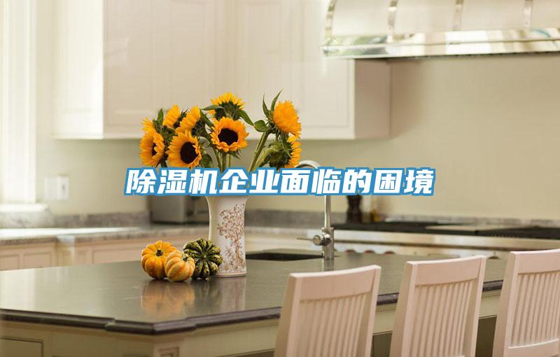 泡芙短视频APP官方下载地址企业面临的困境