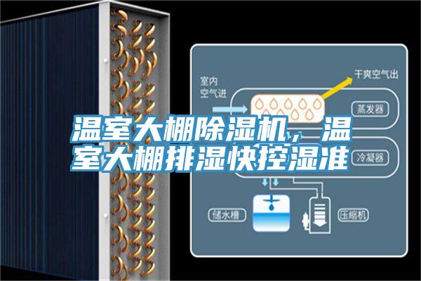 温室大棚泡芙短视频APP官方下载地址，温室大棚排湿快控湿准