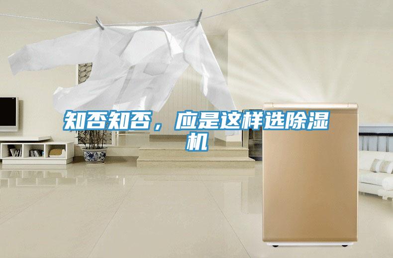 知否知否，应是这样选泡芙短视频APP官方下载地址