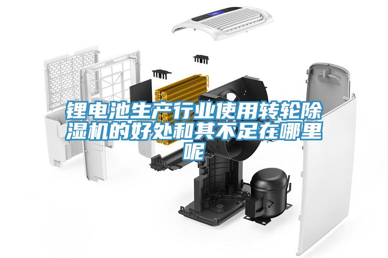 锂电池生产行业使用转轮泡芙短视频APP官方下载地址的好处和其不足在哪里呢