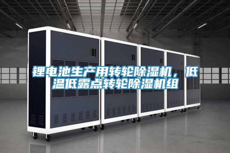 锂电池生产用转轮泡芙短视频APP官方下载地址，低温低露点转轮泡芙短视频APP官方下载地址组