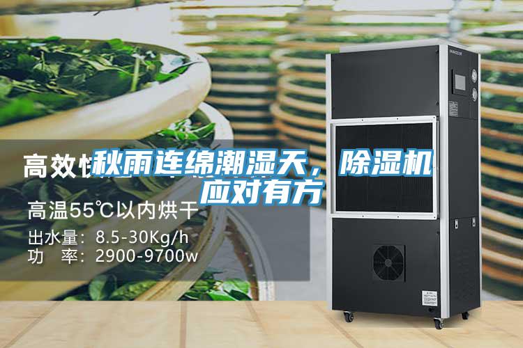 秋雨连绵潮湿天，泡芙短视频APP官方下载地址应对有方