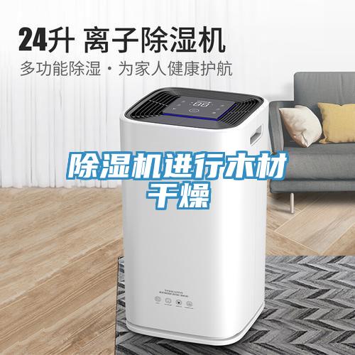 泡芙短视频APP官方下载地址进行木材干燥