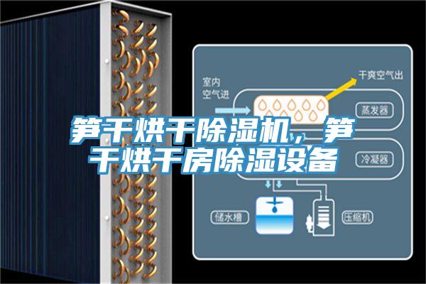 笋干烘干泡芙短视频APP官方下载地址，笋干烘干房除湿设备